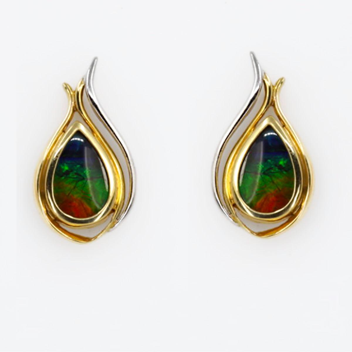 14k Ammolite Earrings