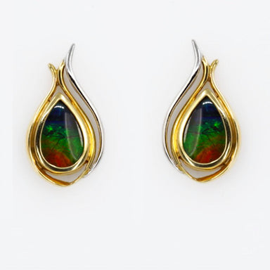 14k Ammolite Earrings