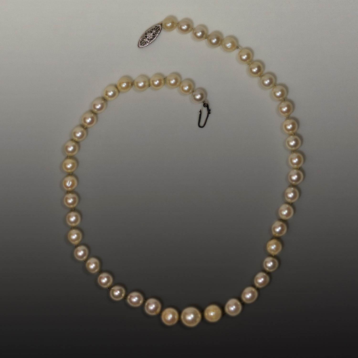 ■VINTAGE HOLLYWOOD■ Classic Pearl NecklaceVH25NNNE100V 028 Classics Pearls Silver Pearl Pendant Necklace | Olivia
