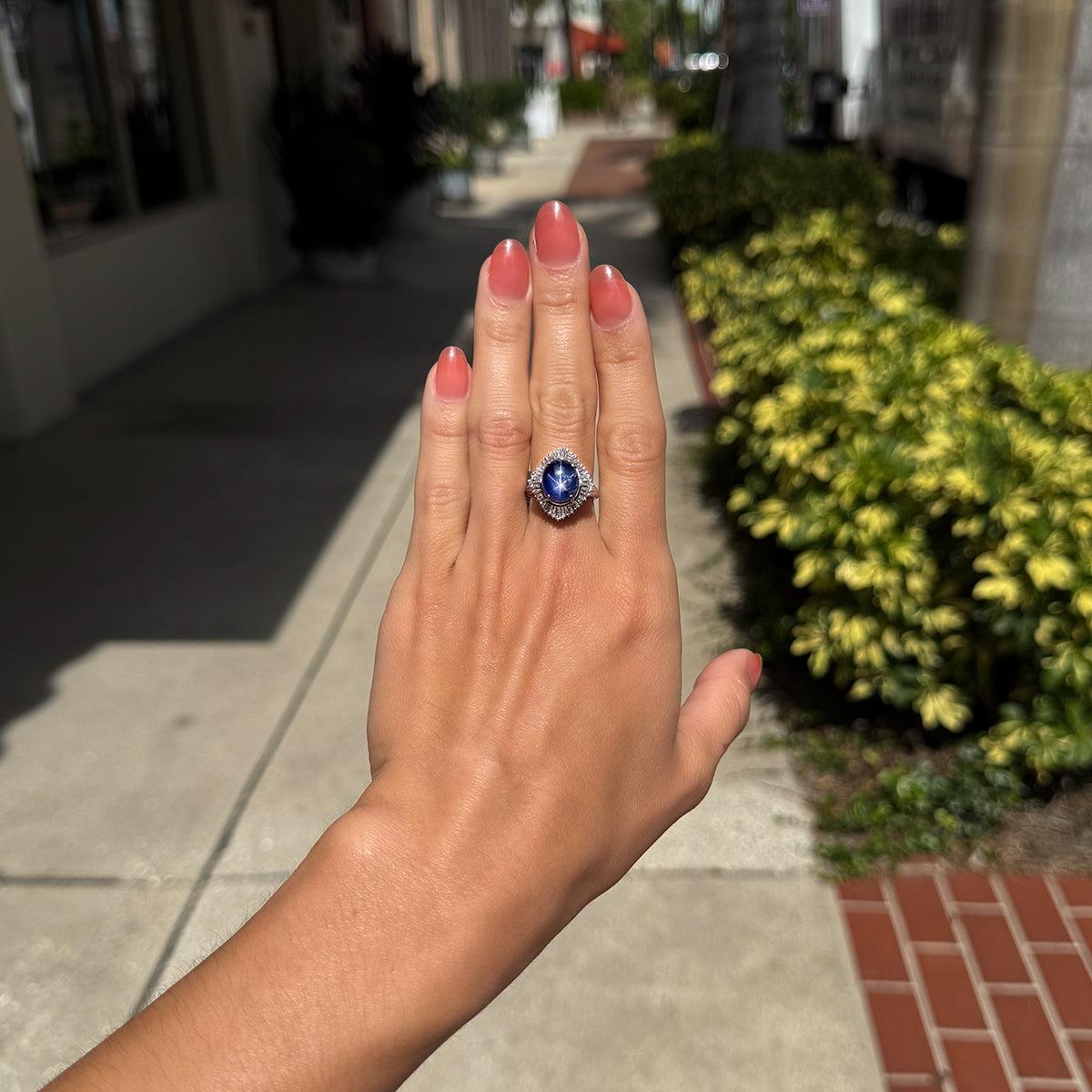 Platinum Gem Star Sapphire Ring