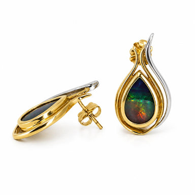 14k Ammolite Earrings