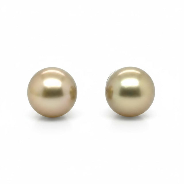 16.1mm Golden South Sea Pearl Studs