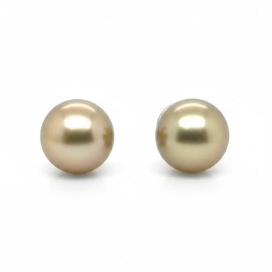16.1mm Golden South Sea Pearl Studs