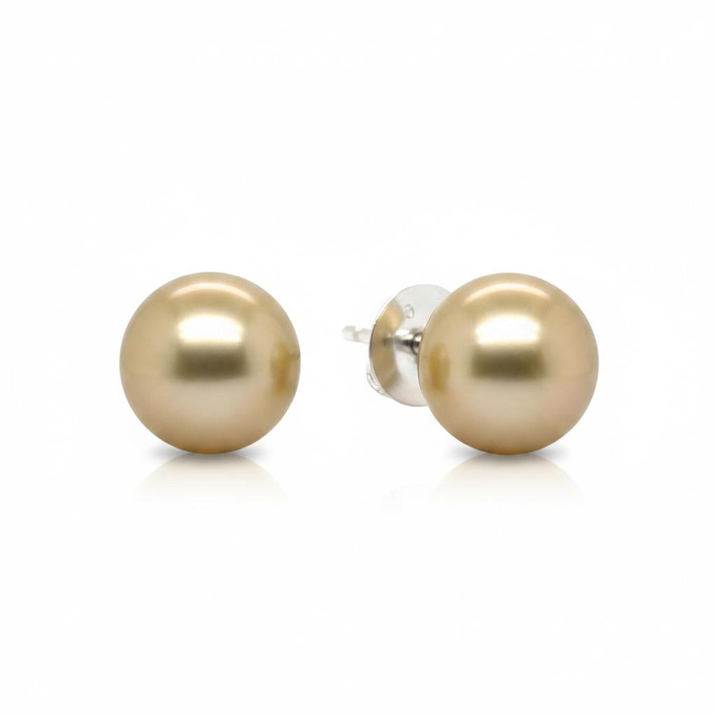 16.1mm Golden South Sea Pearl Studs