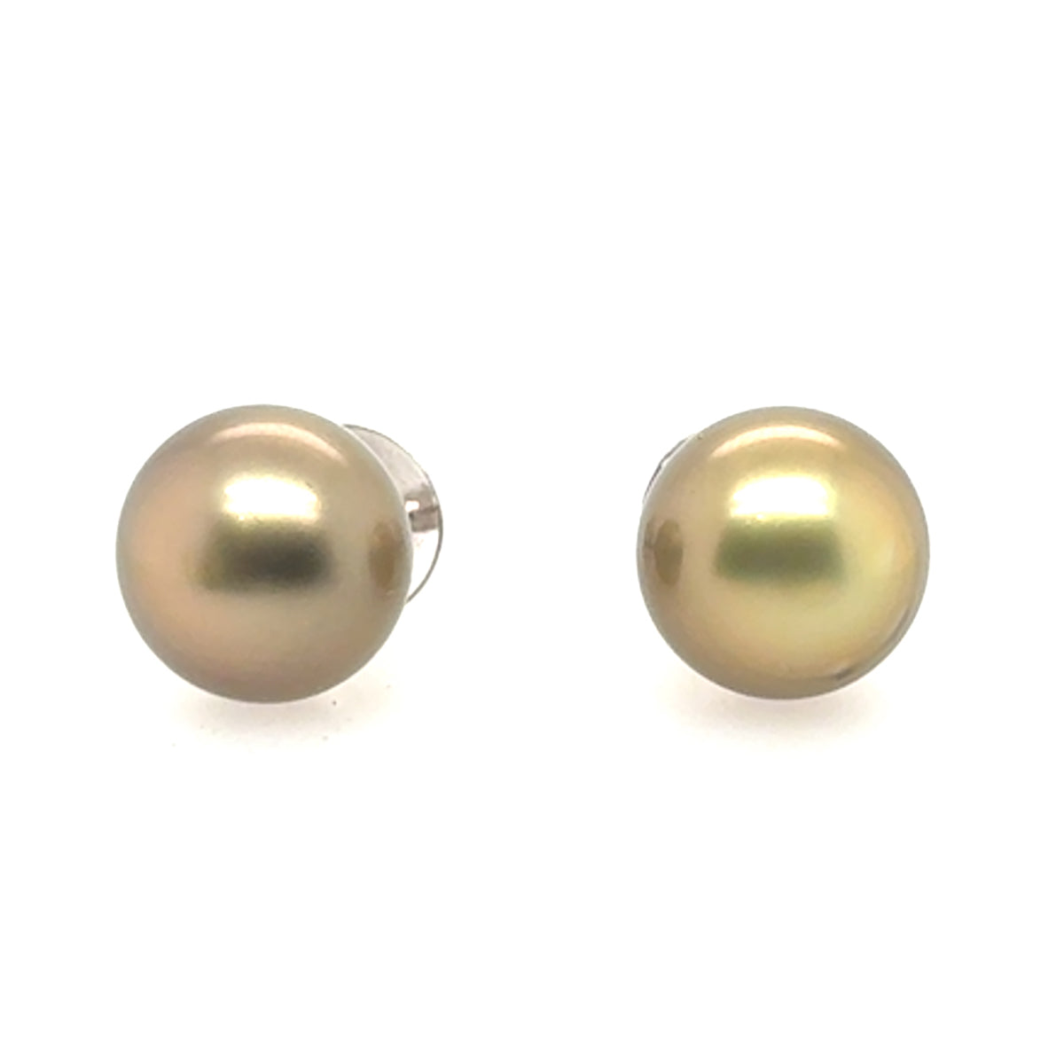 16.1mm Golden South Sea Pearl Studs