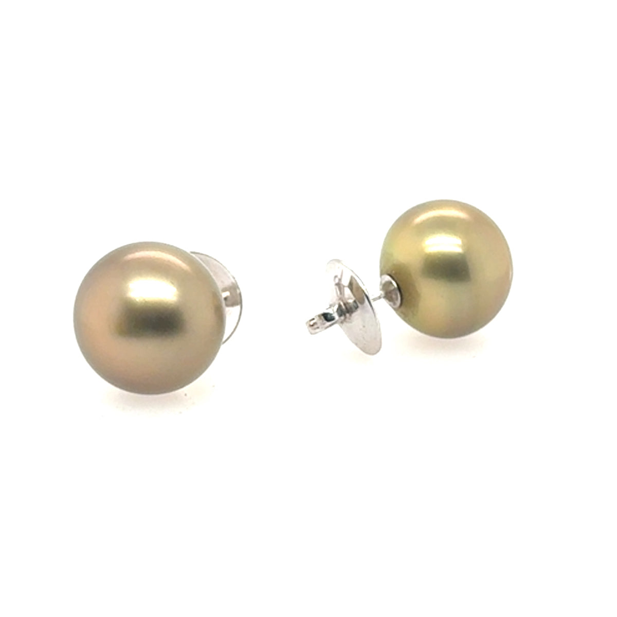 16.1mm Golden South Sea Pearl Studs