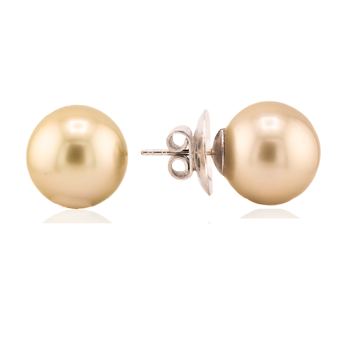 14.5mm Golden South Sea Pearl Studs
