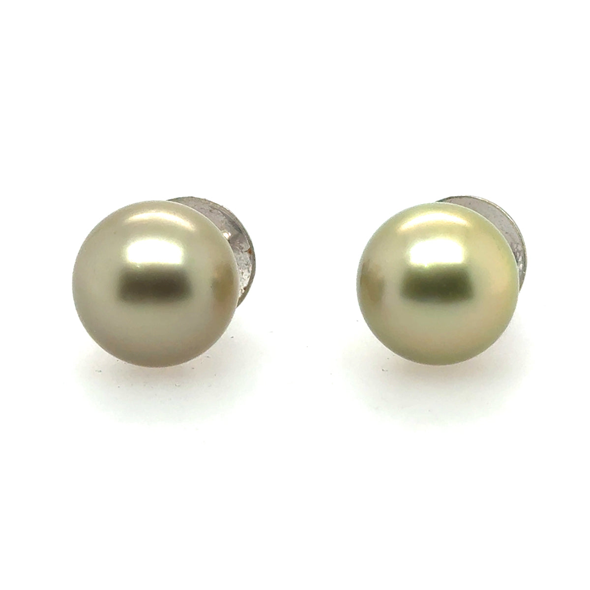 14.5mm Golden South Sea Pearl Studs