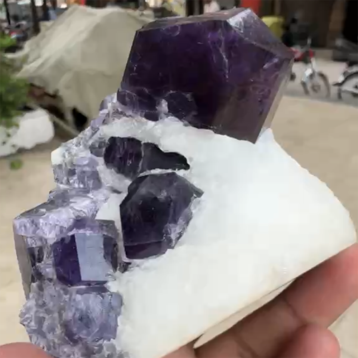 Scapollite Crystal Specimen