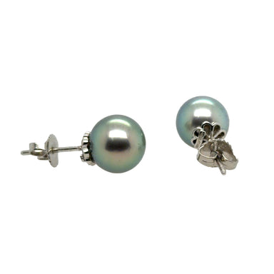 Tiffany & Co Peacock Tahitian Pearl Studs