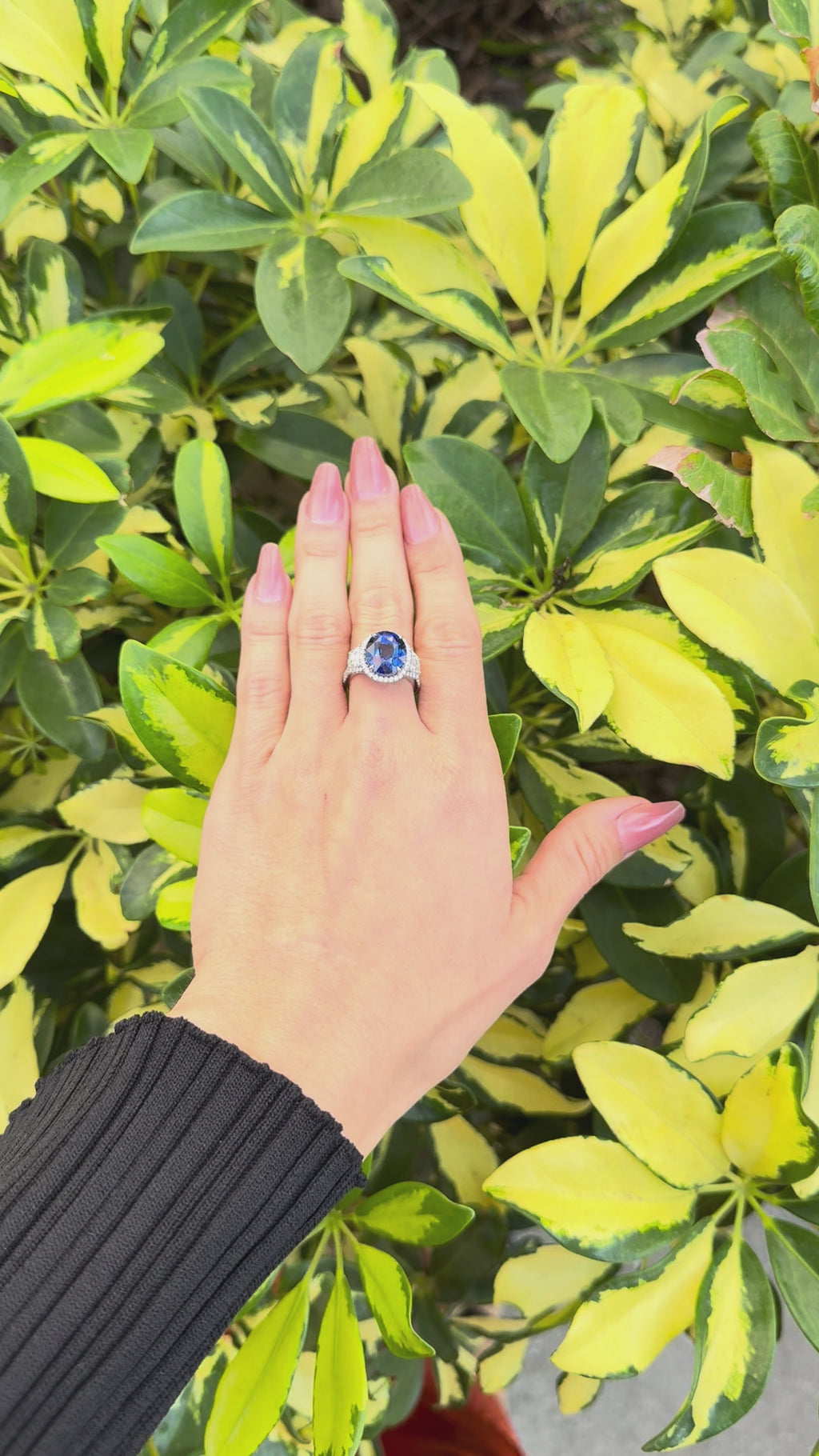 9.56 Carat Royal Blue Sapphire Ring