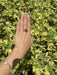 Keith Davis 12.33 ct  Burma Ruby Ring