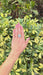 Retro Period Aquamarine Ring